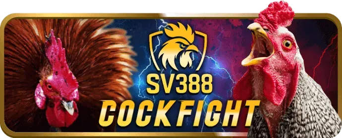 Ưu đãi và khuyến mãi của dk88 win